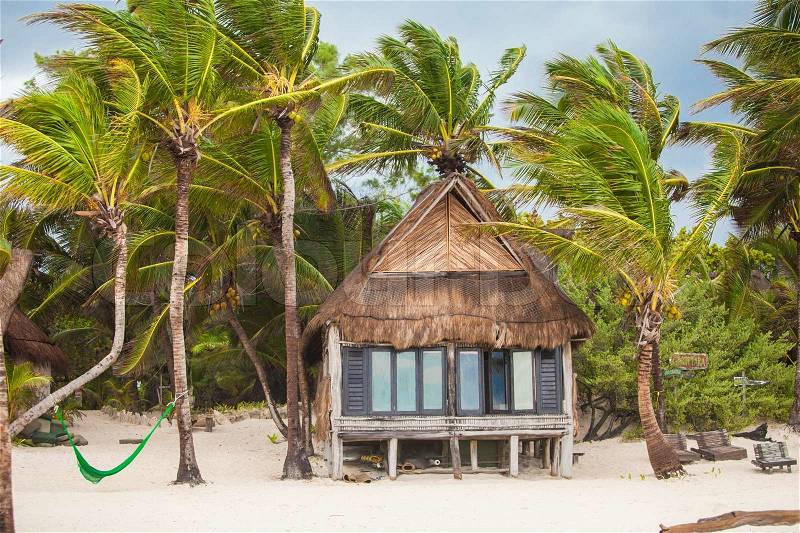 Tropical beach house on ocean shore among palm trees, stock photo