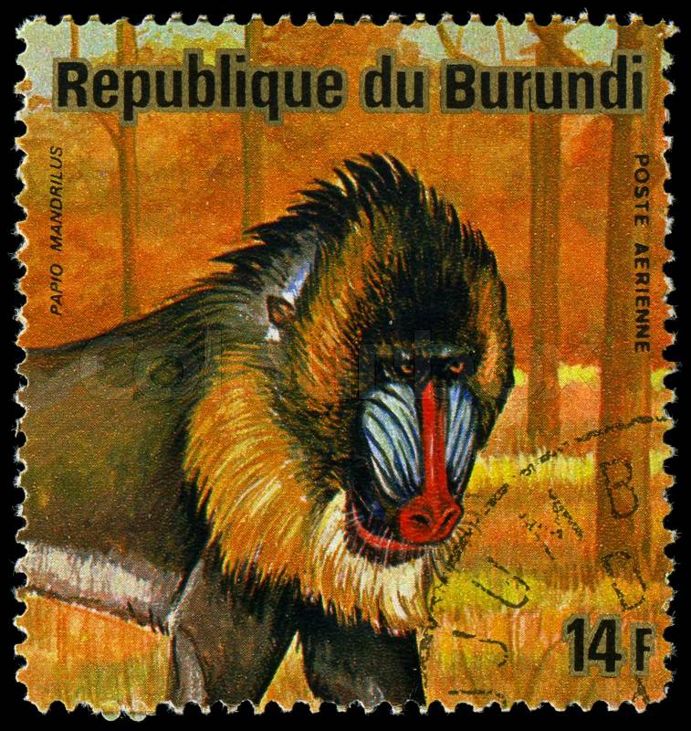 BURUNDI - CIRCA 1964: A stamp printed in Burundi shows a wild animal, circa 1964, stock photo