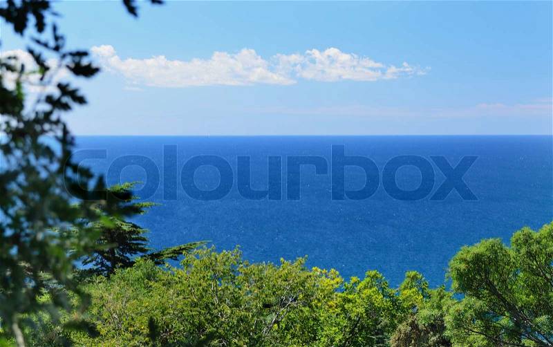 View across the tops of lush green trees of a beautiful calm blue tropical ocean under a sunny summer sky, stock photo