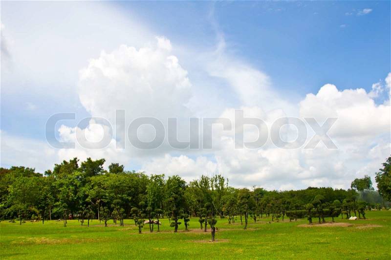 Beautiful garden and blue sky, stock photo