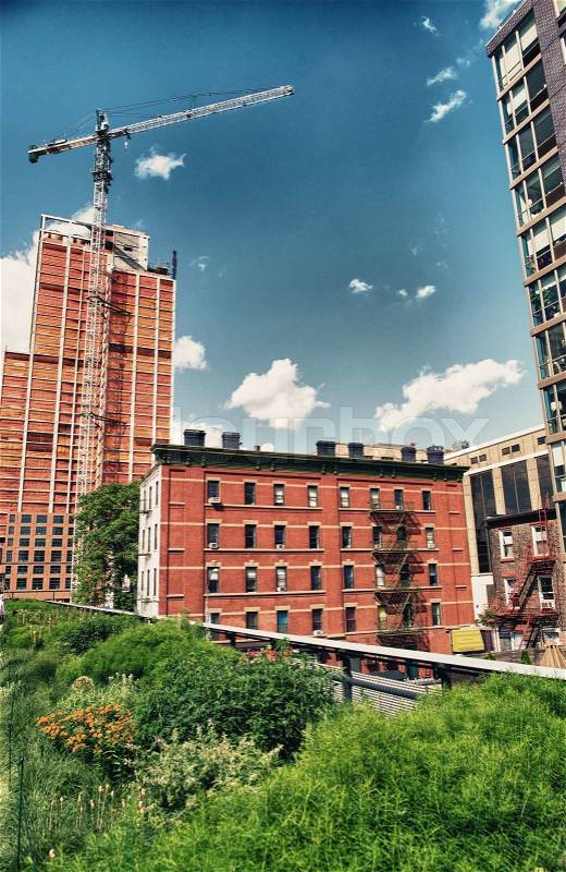 The High Line Park in Manhattan - New York City, stock photo