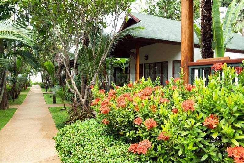 Tropical villas in the garden. Koh Samui, Thailand, stock photo
