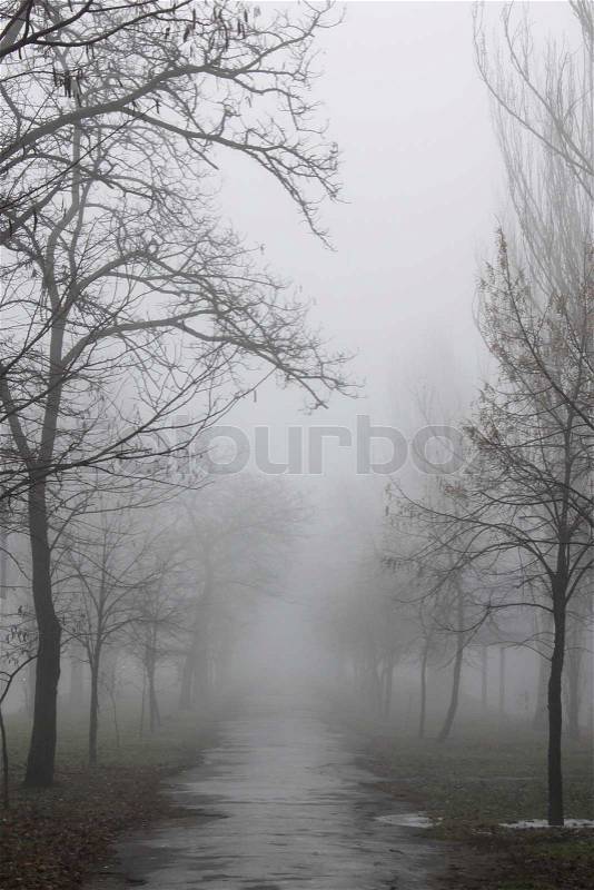 Pedestrian path at foggy weather, stock photo