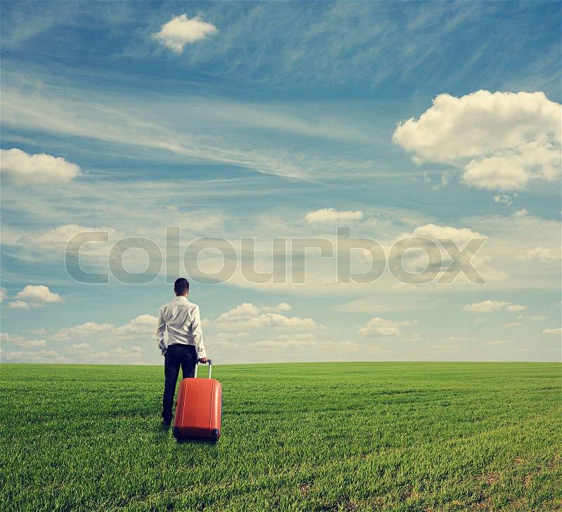 Back view of businessman with suitcase standing on the green field, stock photo