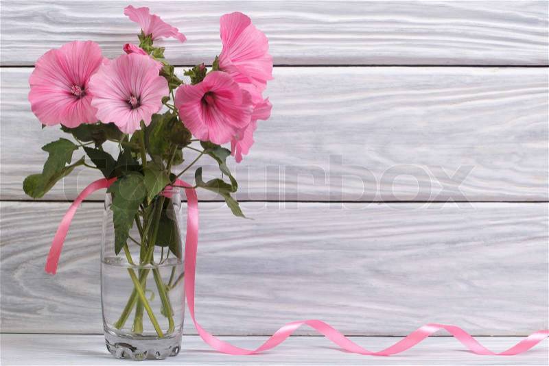 Lavatera pink flowers in a glass vase against a wooden wall, stock photo