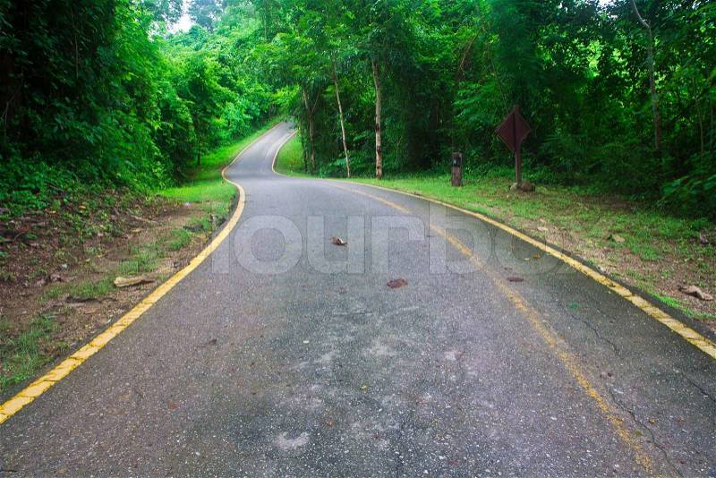Curved road with trees on both sides, stock photo
