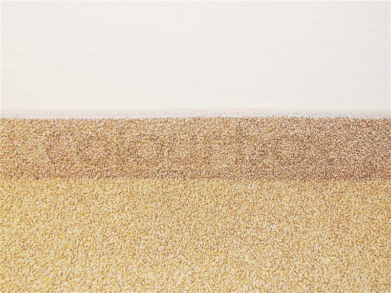 No Background with carpet surface and grunge wallitle, stock photo