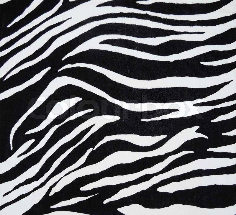Texture of black and white zebra textile, stock photo