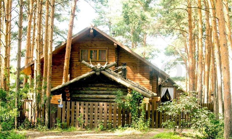 Wooden house in the woods, stock photo