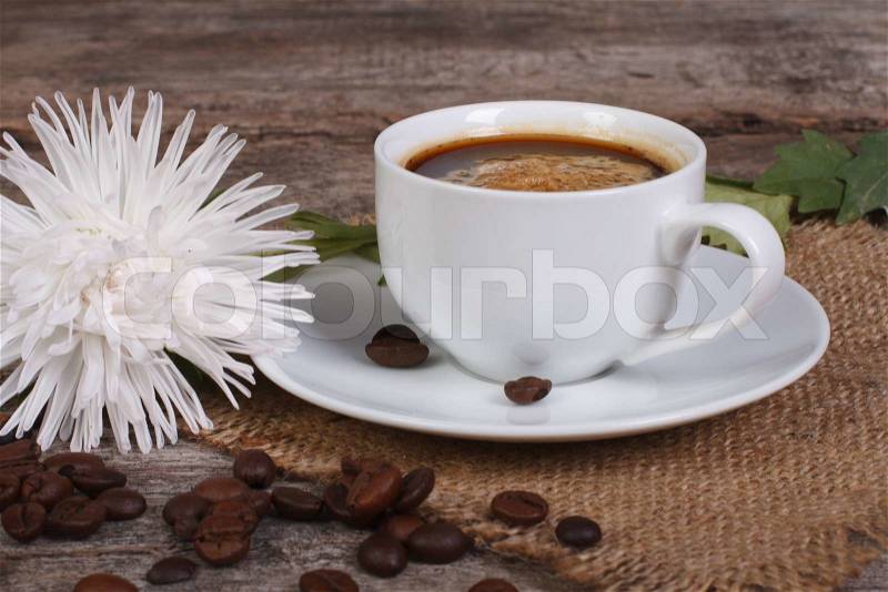Hot morning coffee and a snow-white aster flower, stock photo
