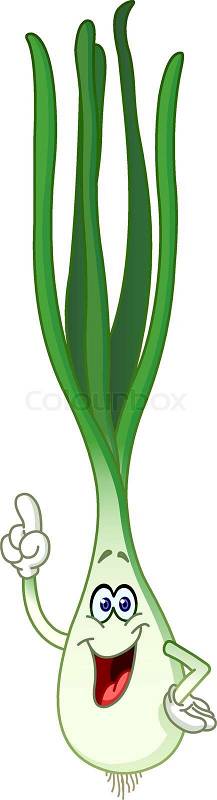 spring onion clipart - photo #27