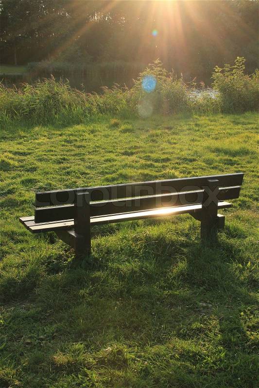 An empty bench in the park at sunset in the summer, stock photo