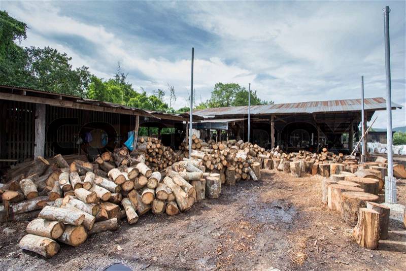 Wood industry, stock photo