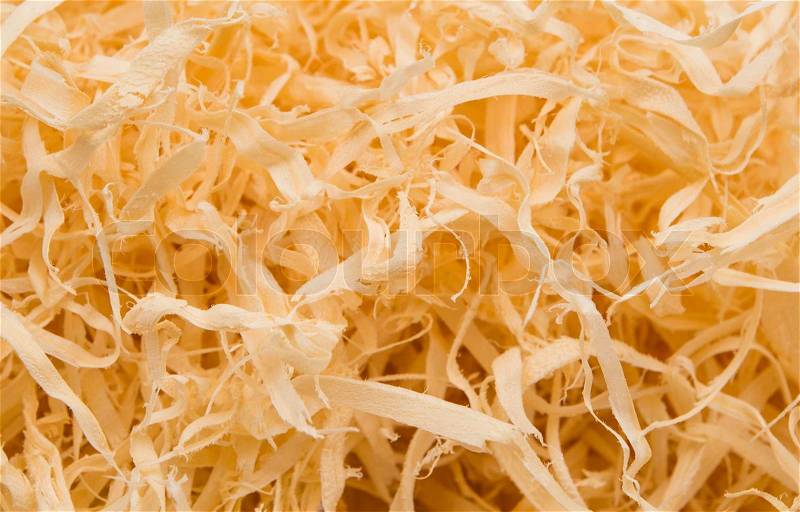 Background of the golden curls of wood shavings, stock photo