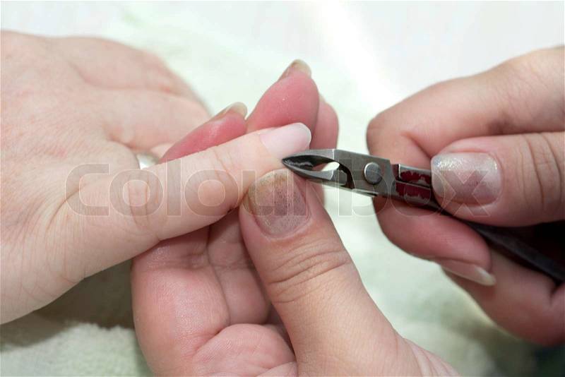 Nail polish on the nails in a beauty salon, stock photo