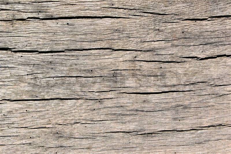 Wood structure, stock photo