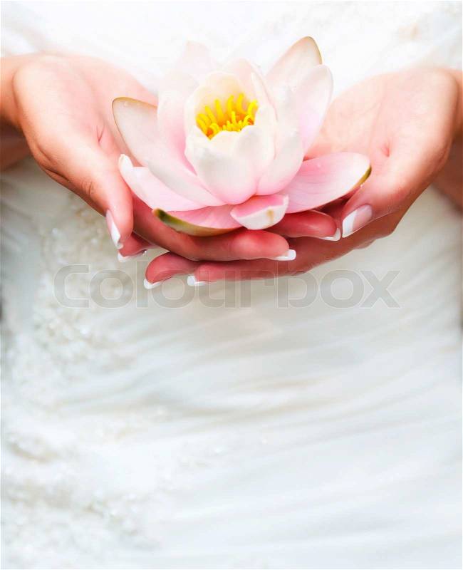 Water lily flower in woman hands, stock photo
