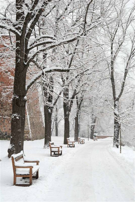 Park benches and trees covered by heavy snow, stock photo