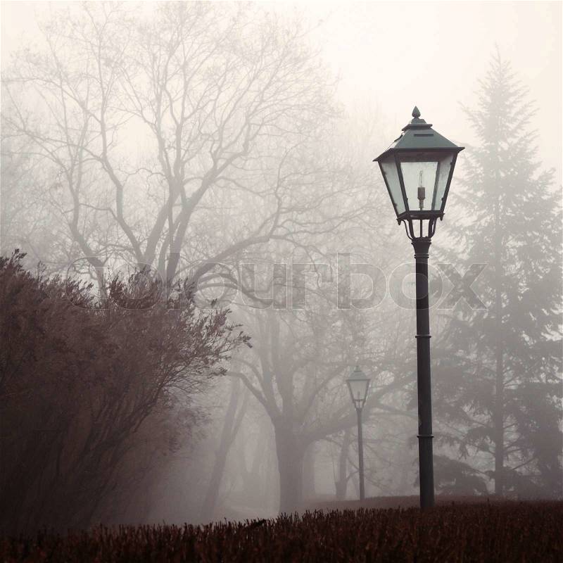 Street lamp and forest park in fog, stock photo