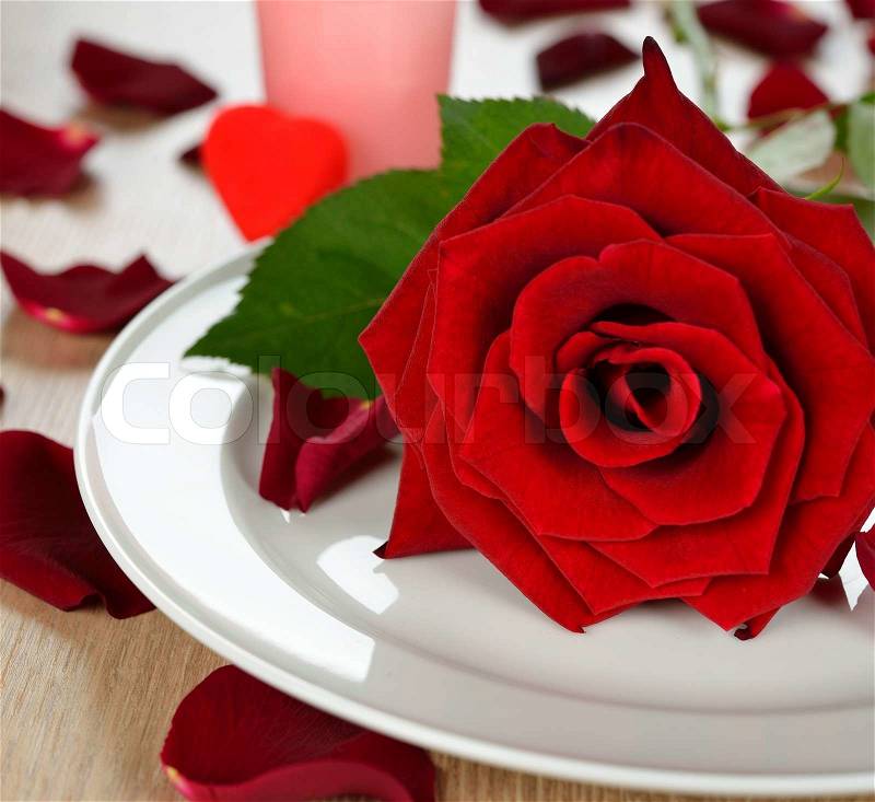 Rose on a white plate close-up, stock photo