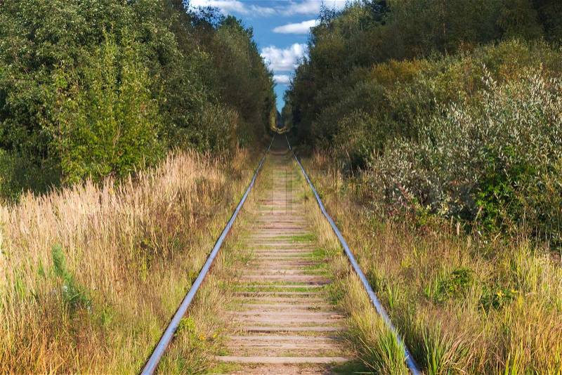 Long straight railway perspective in the forest, stock photo