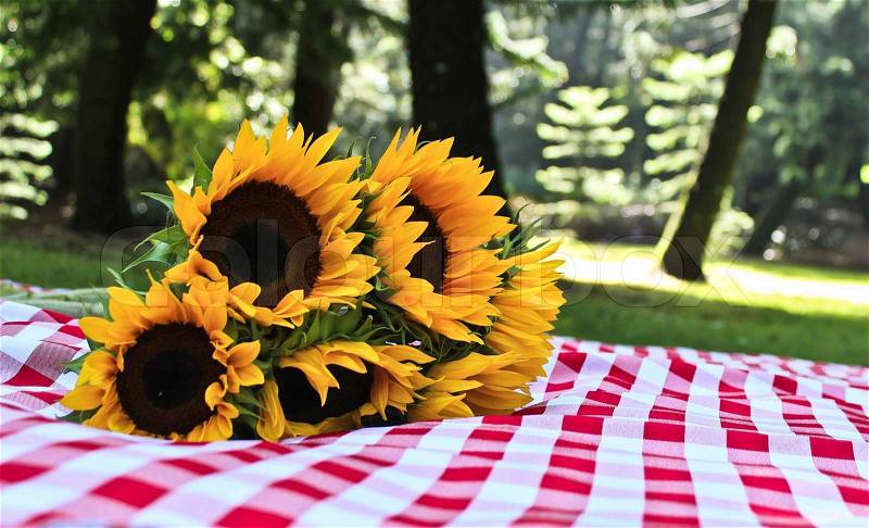 Sunflowers has the power of entertain and focus sight. Its brightful yellow color contrasting with its dark brown center captures our eyes, stock photo