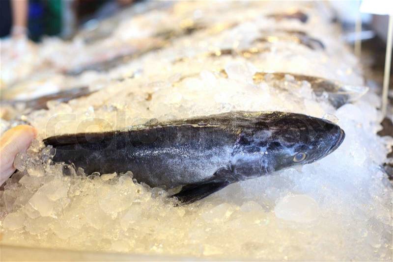 Seafood fish frozen in the ice, stock photo