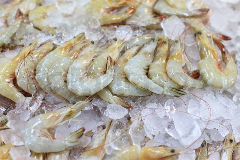 Shrimp frozen in ice for sale, stock photo