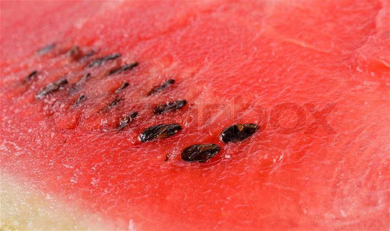 Sliced watermelon texture and background showing the juicy watery refreshing pink pulp and pips of this healthy fruit, stock photo