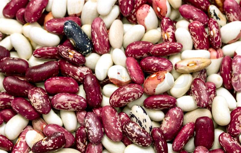 Dried kidney red speckled beans, stock photo