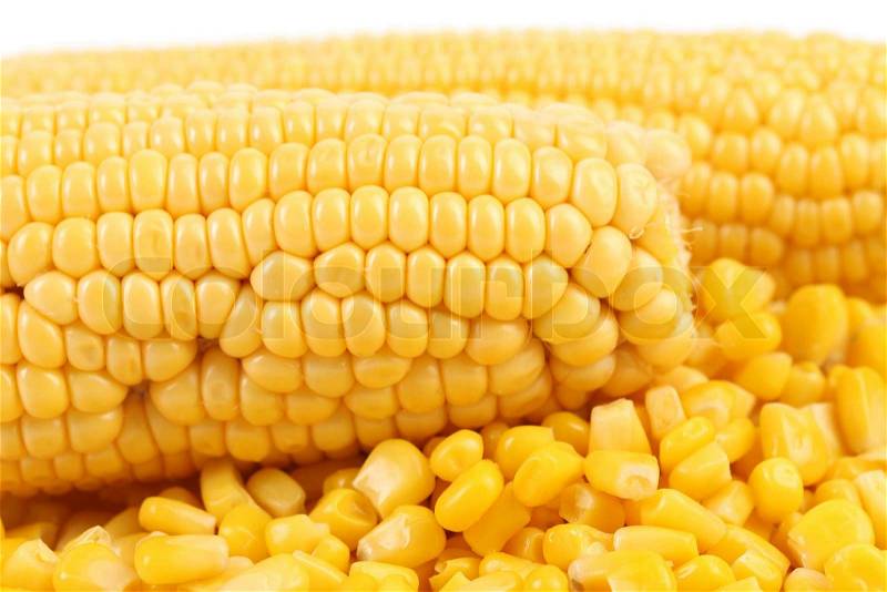 Two corncobs and handful canned corns. Close up, stock photo