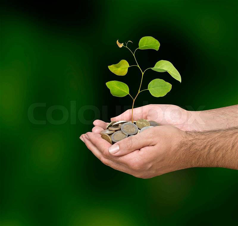 Investing to green business, stock photo