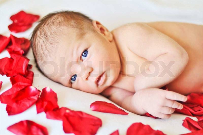 One weeks newborn girl laying with rose petals, stock photo