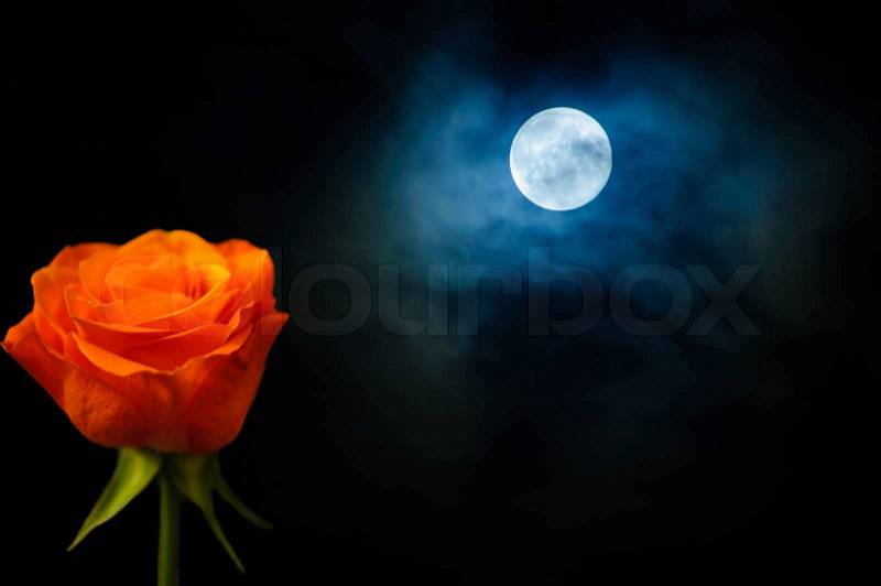 Orange rose and dramatic clouds with full moon. With texture on background, stock photo