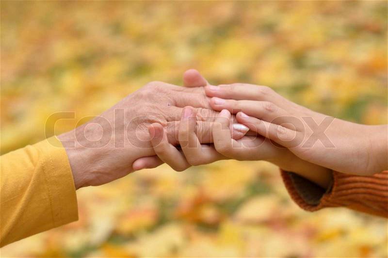 Hands of people of different ages in the autumn park, stock photo