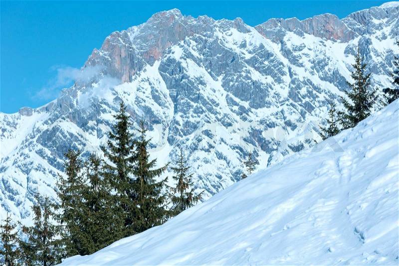 Winter mountain landscape with snowy spruce trees on slopeHochkoenig region, Austria, stock photo