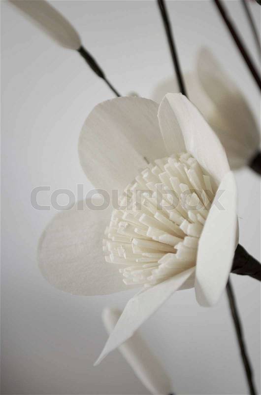 Fake flowers from natural materials, stock photo