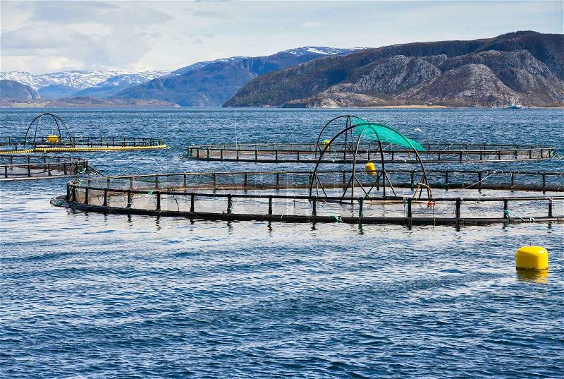 Norwegian fish farm for salmon growing in fjord, stock photo