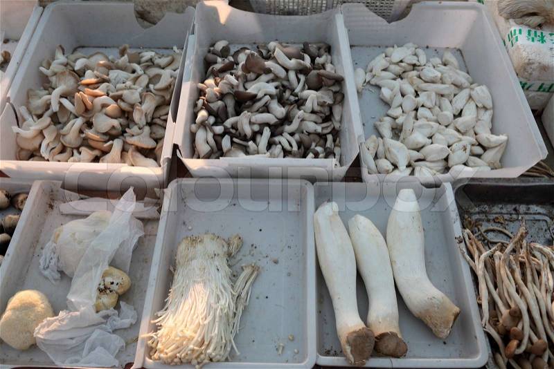 Mushrooms at vegetable market in Shanghai, China, stock photo