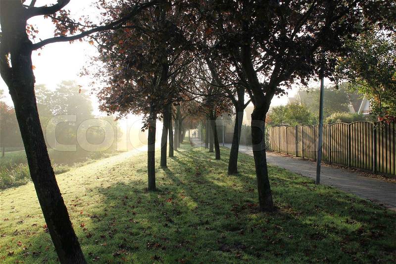 End of the road, mother and son walking in the residential area in fog in fall at sunrise, stock photo