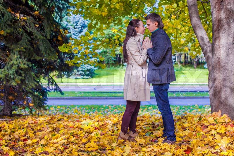 Young couple in love on the big autumn meadow under large maple tree on a sunny fall day, stock photo