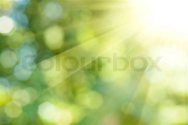 Natural outdoors bokeh background in green and yellow tones with sun rays, stock photo