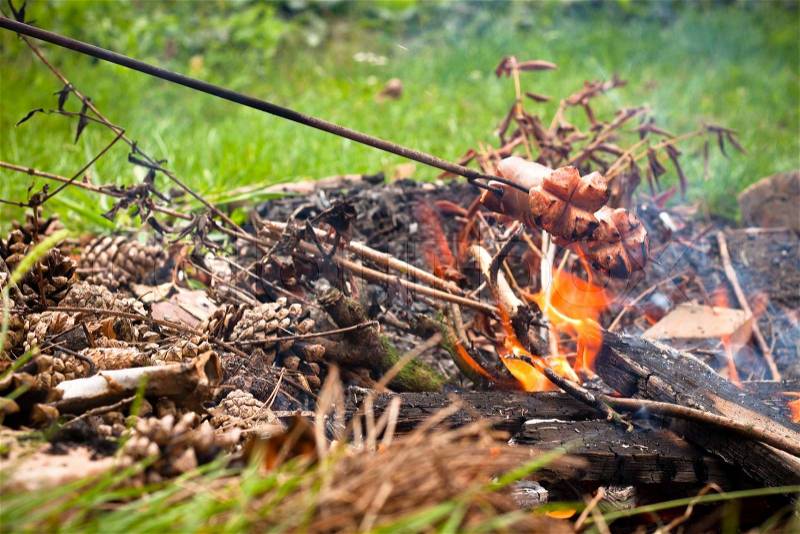 Roasting sausages on campfire in the garden, stock photo