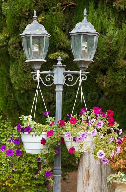 Garden lamp andPetunia flowers, stock photo
