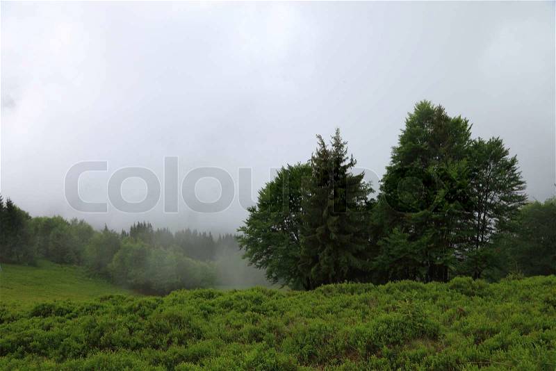 Mountain landscape. Clouds in the mountain forest, stock photo