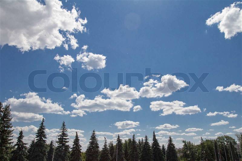 Beautiful nature background. coniferous forest and sky with clouds, stock photo