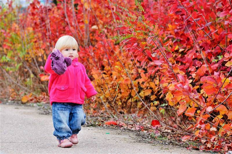 Autumn toddler walk along bright bushes, stock photo