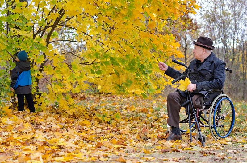 Disabled grandfather using wheelchair taking care of his playing grandchild outdoors in the forest in the autumn, stock photo