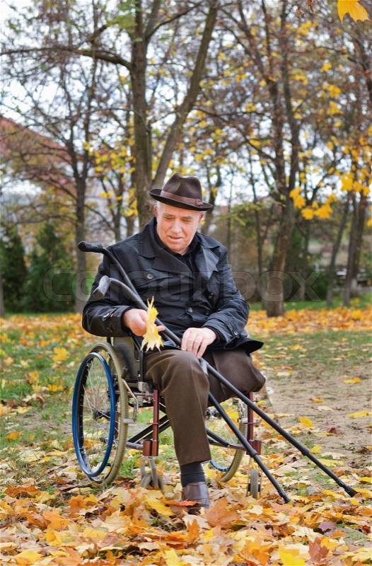 Senior handicapped man in a wheelchair, stock photo