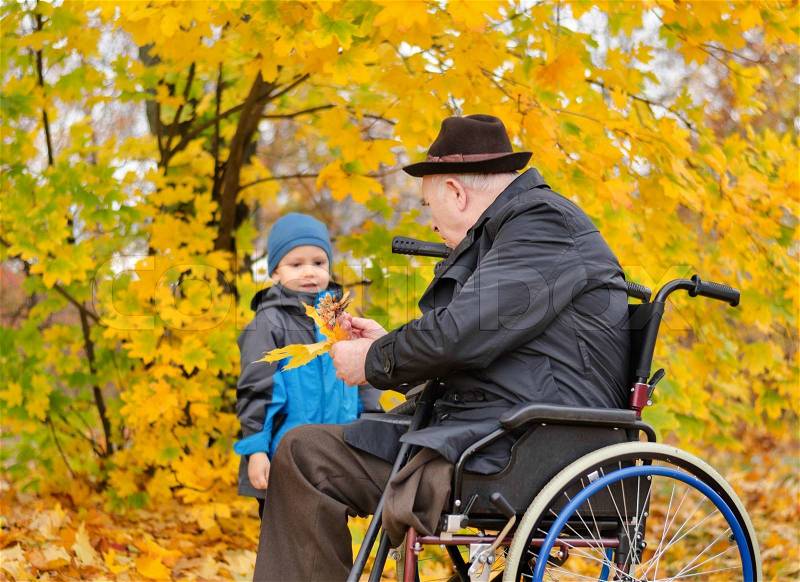 Elderly disabled man sitting in a wheelchair playing with his cute young grandson collecting colourful autumn leaves in the park, stock photo